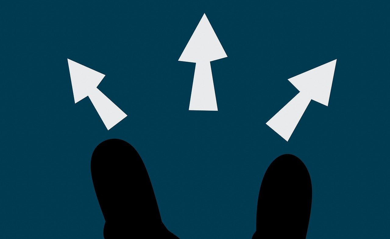 manage critical issues and risks