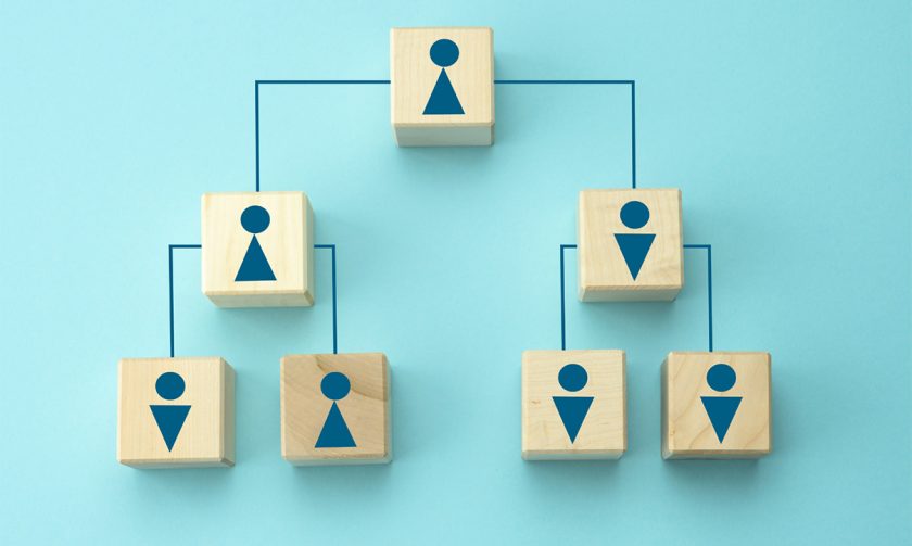 Organization Chart