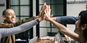 project management software