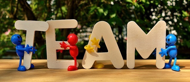 project management software - team