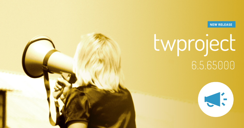 Twproject 6.5.65000