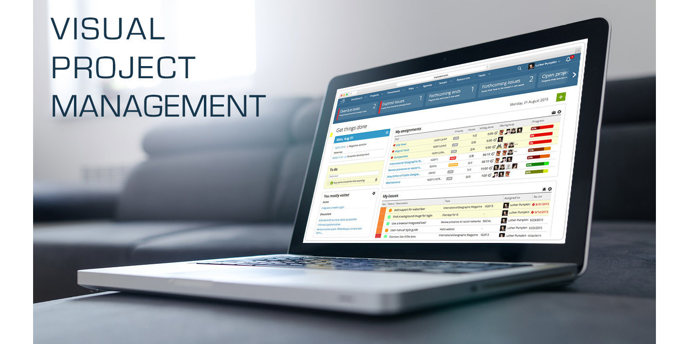 Visual project management