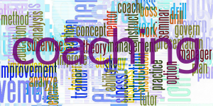 agile coach