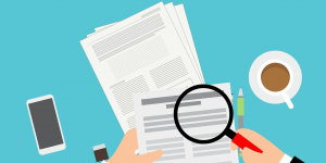 project review