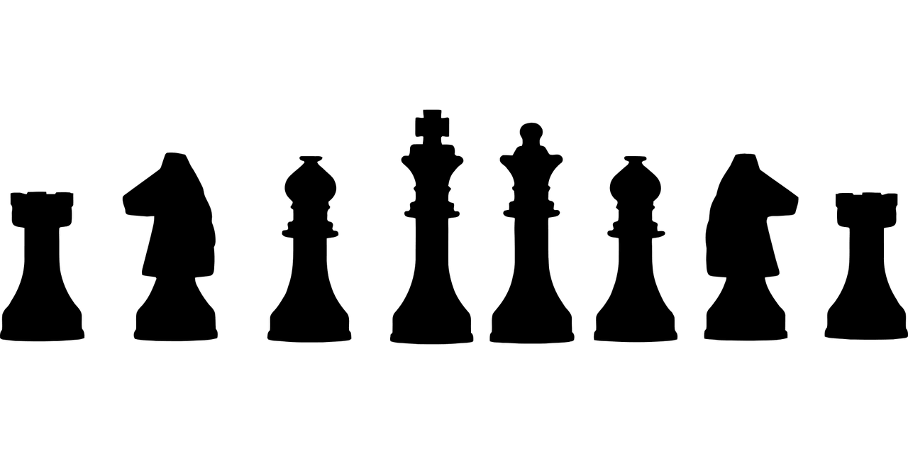 project roles