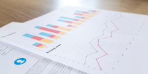 rapporto di gestione del progetto