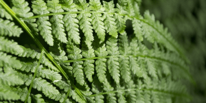 repeatability and sustainability of processes