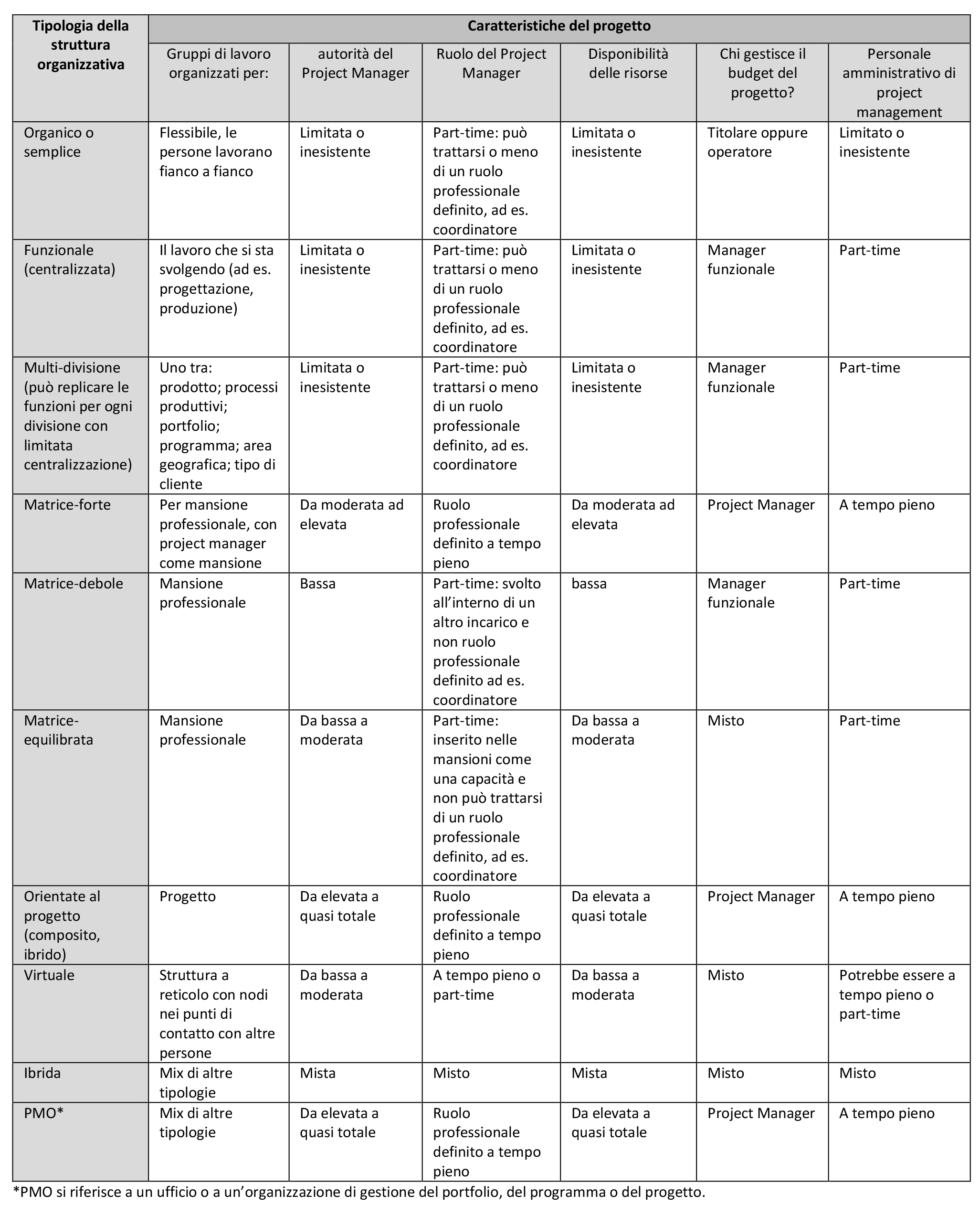 strutture organizzative di progetto