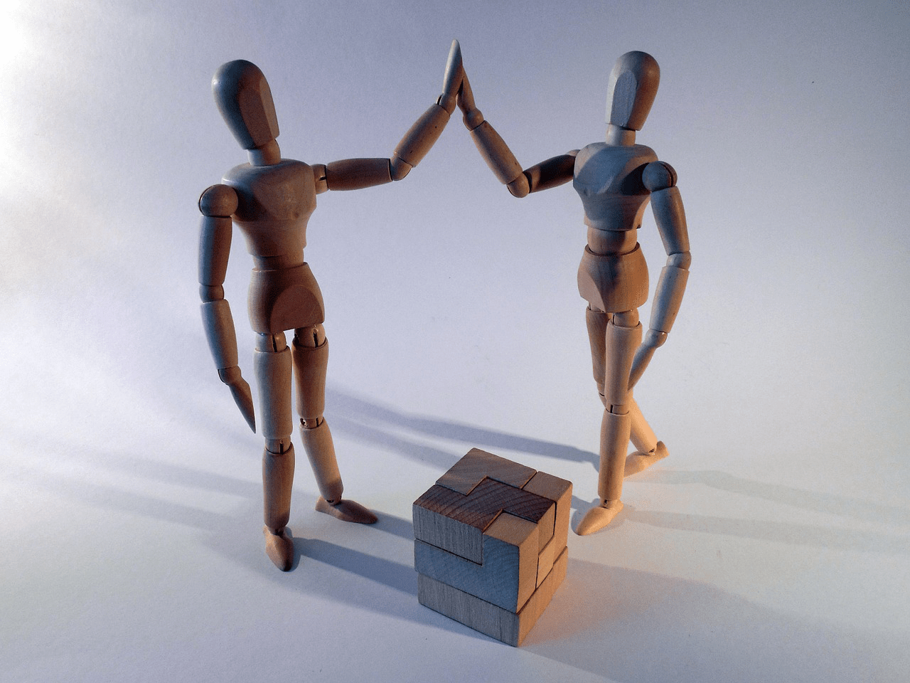 the project integration management
